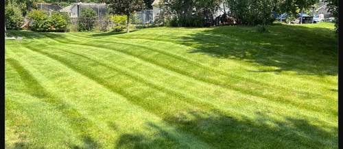 Freshly mowed lawn with clean stripes